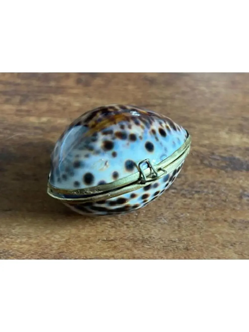 Vintage Seashell Clam Locket with Black Pearl